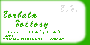 borbala hollosy business card